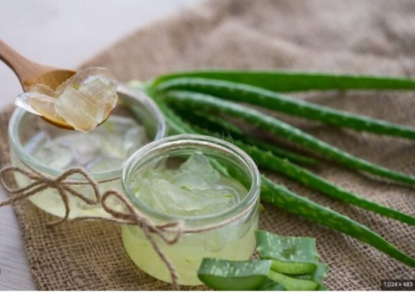 Aloe Vera Gel