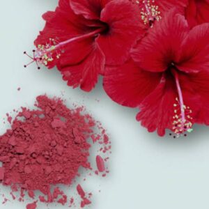 Hibiscus Powder