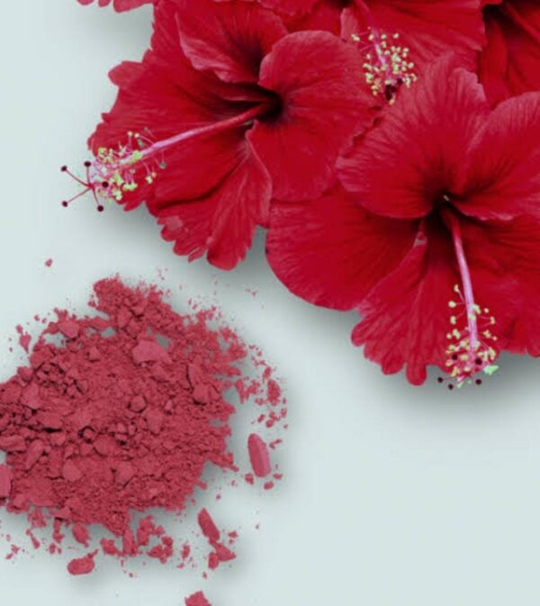Hibiscus Powder
