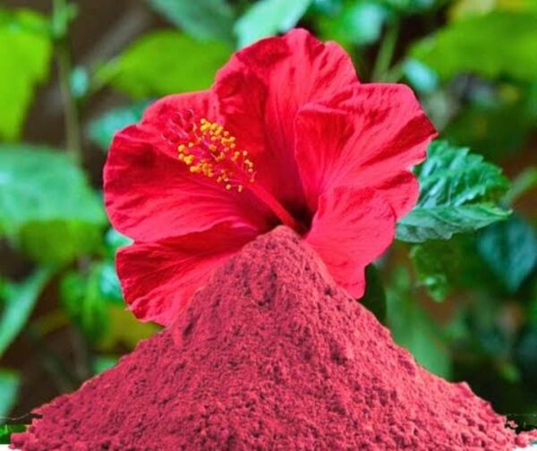 Hibiscus Powder - Image 2